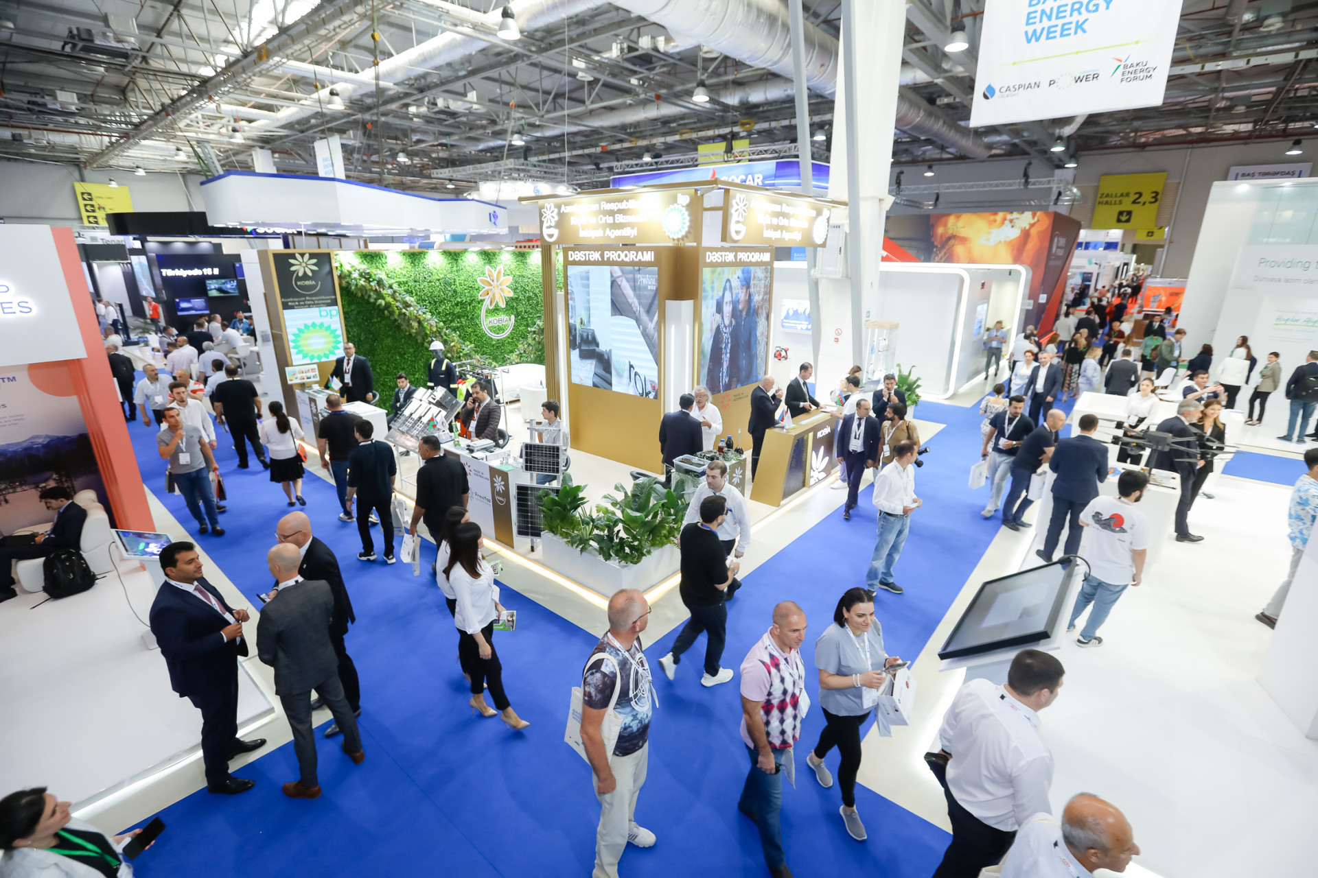 Results of 2023 exhibitions