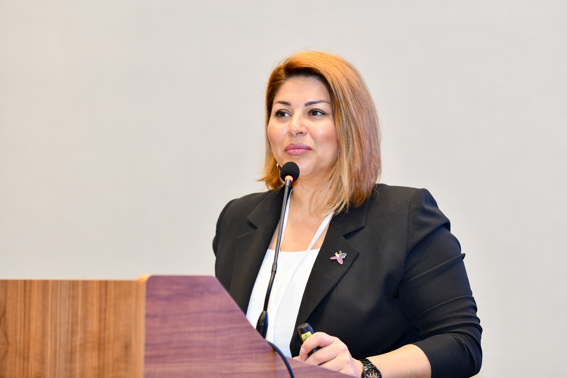 A meeting with participants was held ahead of the 30th Anniversary Baku Energy Week and the 22nd "TransLogistica Caspian" exhibition